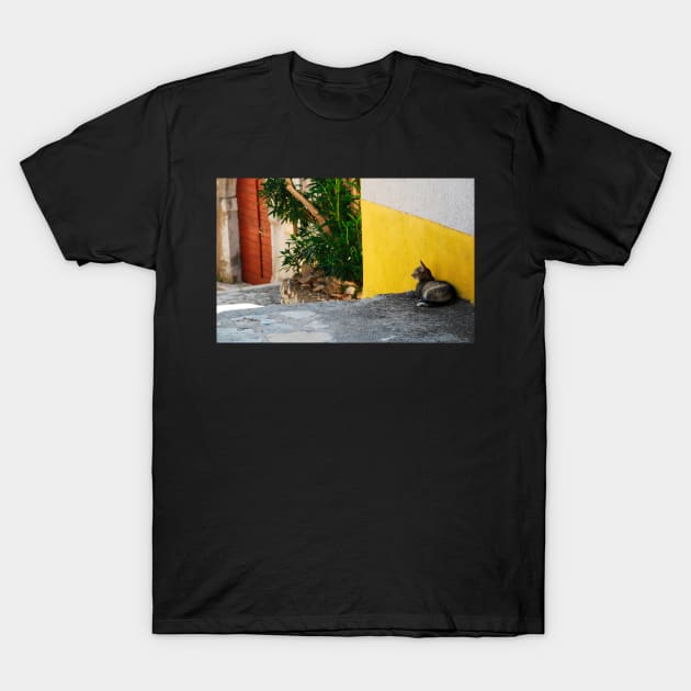 Street Cat in Bakar T-Shirt by jojobob